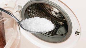 Coarse Salt in the Washing Machine Drum, Because Everyone is Adding It When They Do the Laundry