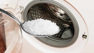Coarse Salt in the Washing Machine Drum, Because Everyone is Adding It When They Do the Laundry