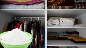 My Grandmother Used This Trick to Eliminate Humidity in Closets