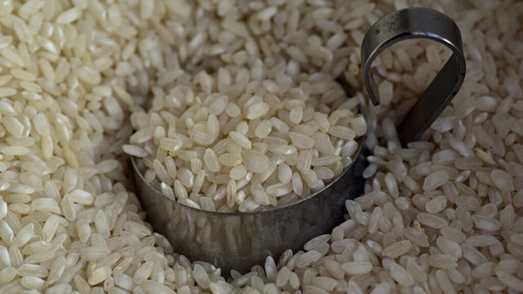 rice grains in the bowl