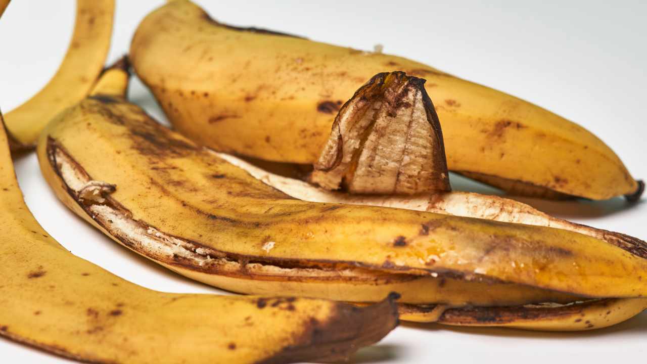 Banana peels: how to recycle them in 3 different ways