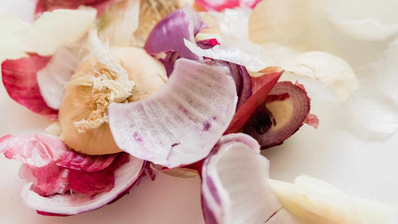 How to care for plants by preparing fertilizer with onion peels