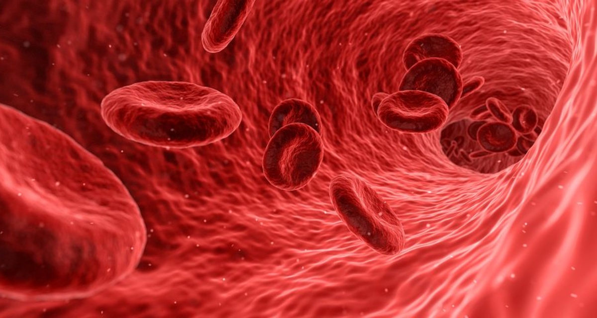 blood cells flowing