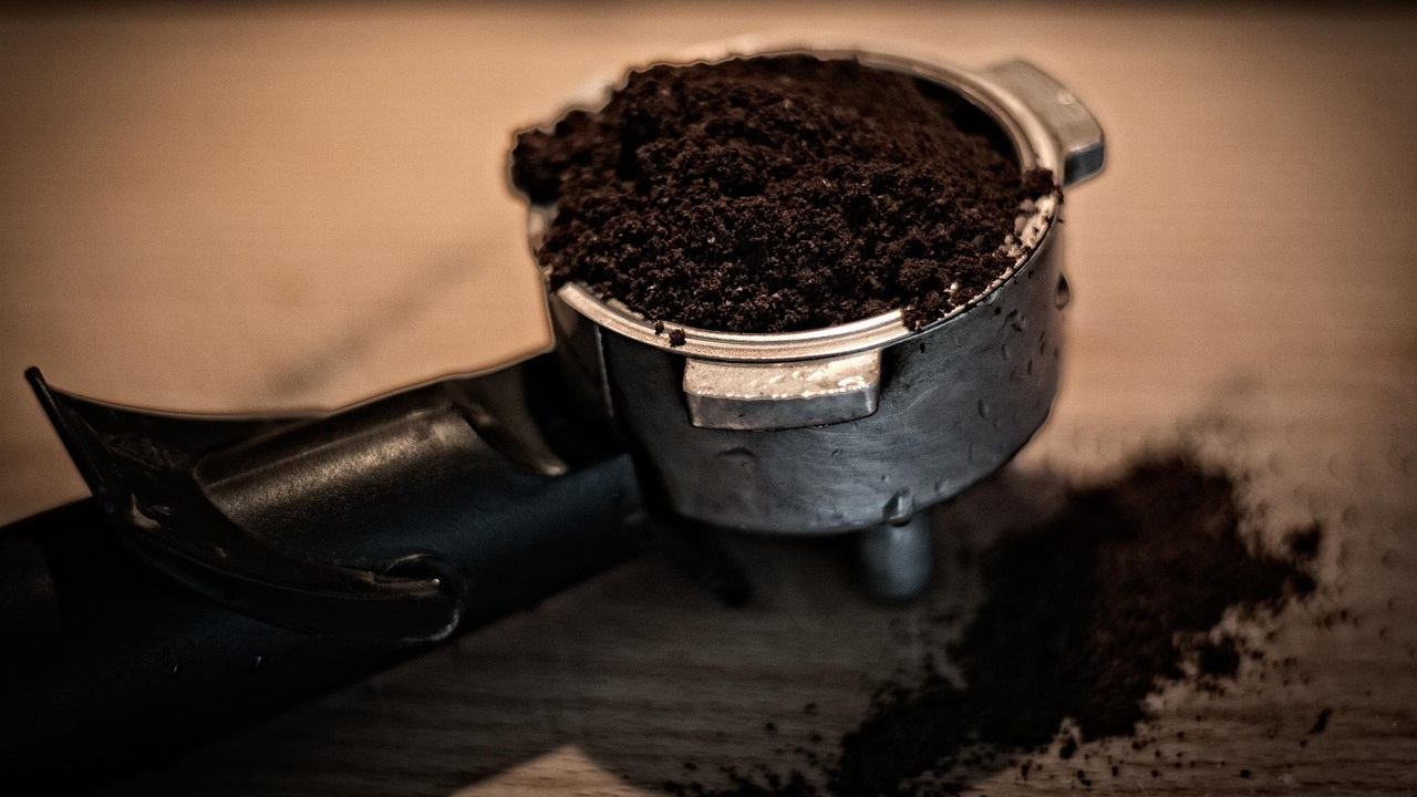 coffee grounds 