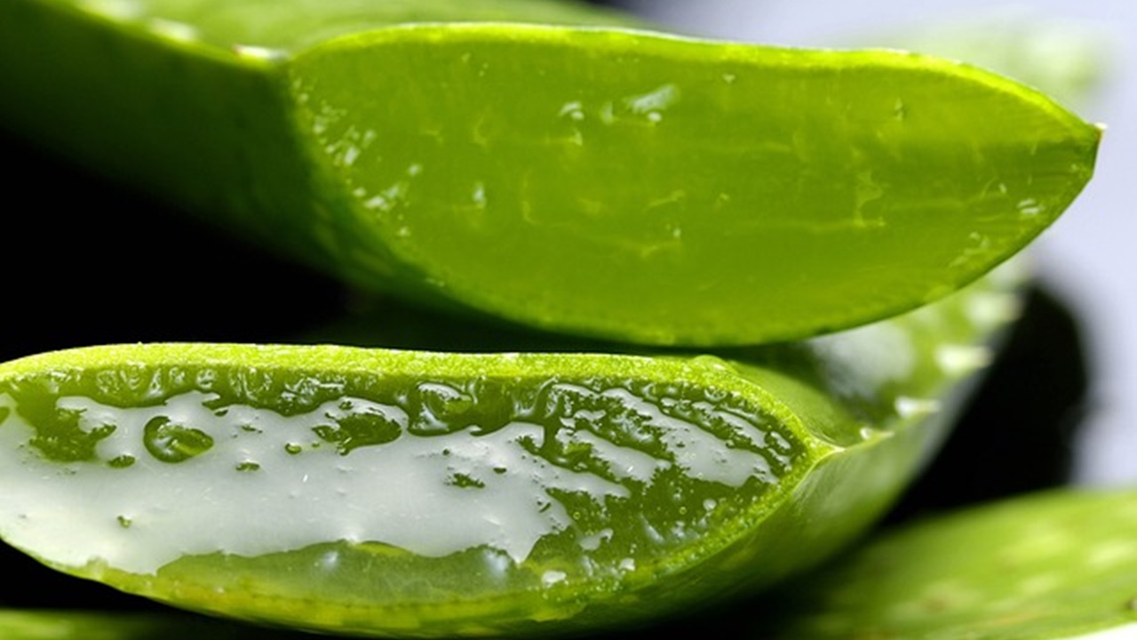 sliced pieces of aloe vera are placed on the table