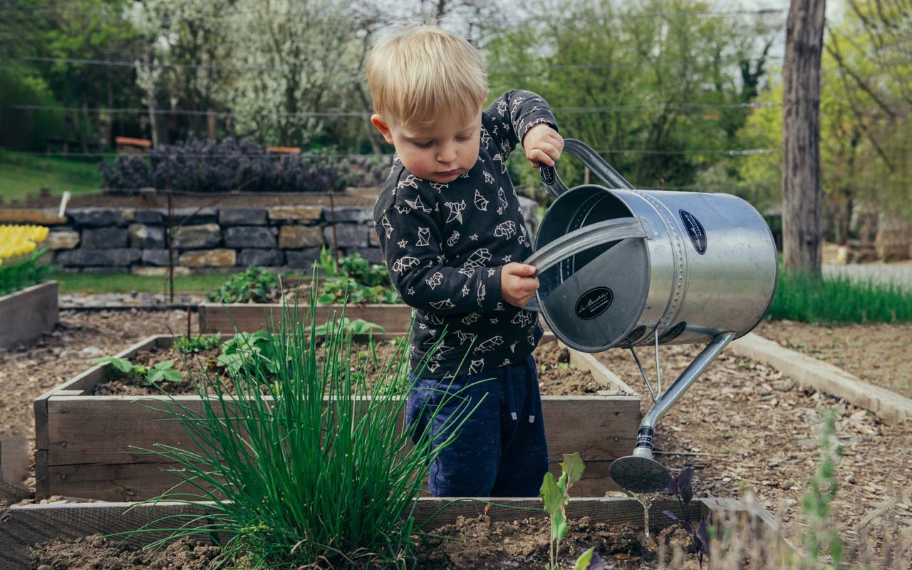 A kid is giving water to plants in a farm