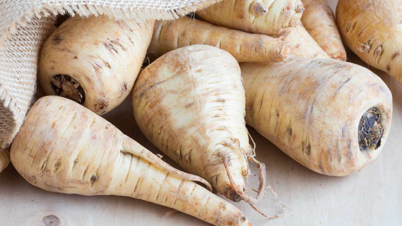 some parsnip tubers placed on the floor