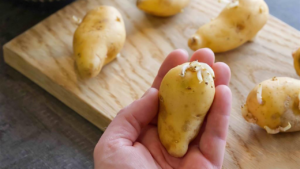 Do Your Potatoes Sprout and Spoil? Try This Trick to Avoid This From Happening