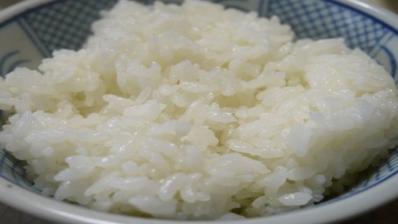 boiled rice in a plate