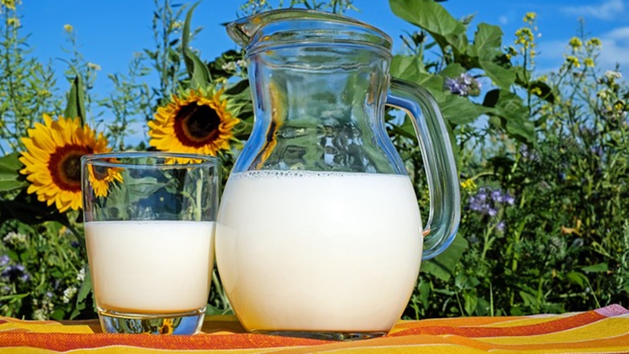 a jug and glass filled with milk are placed on a table in the garden