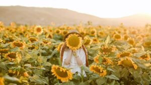 The Sunflower and Its Fascinating Legends: Discover the Most Beautiful