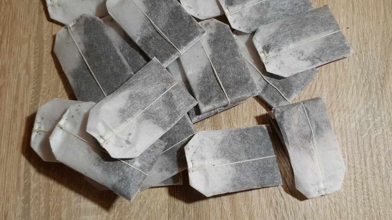 Tea bags, how to recycle them and use them at home