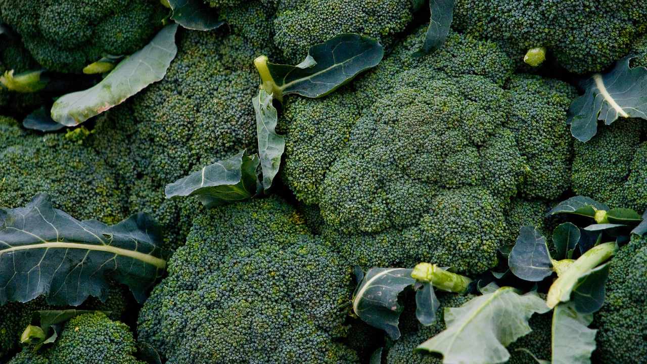 How to prepare a tasty side dish using all parts of broccoli
