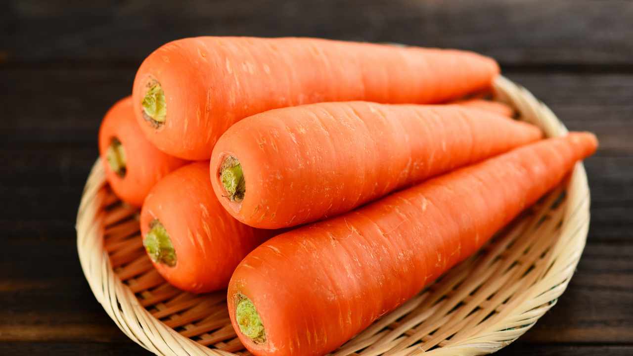 some carrots in a plate are placed on the table