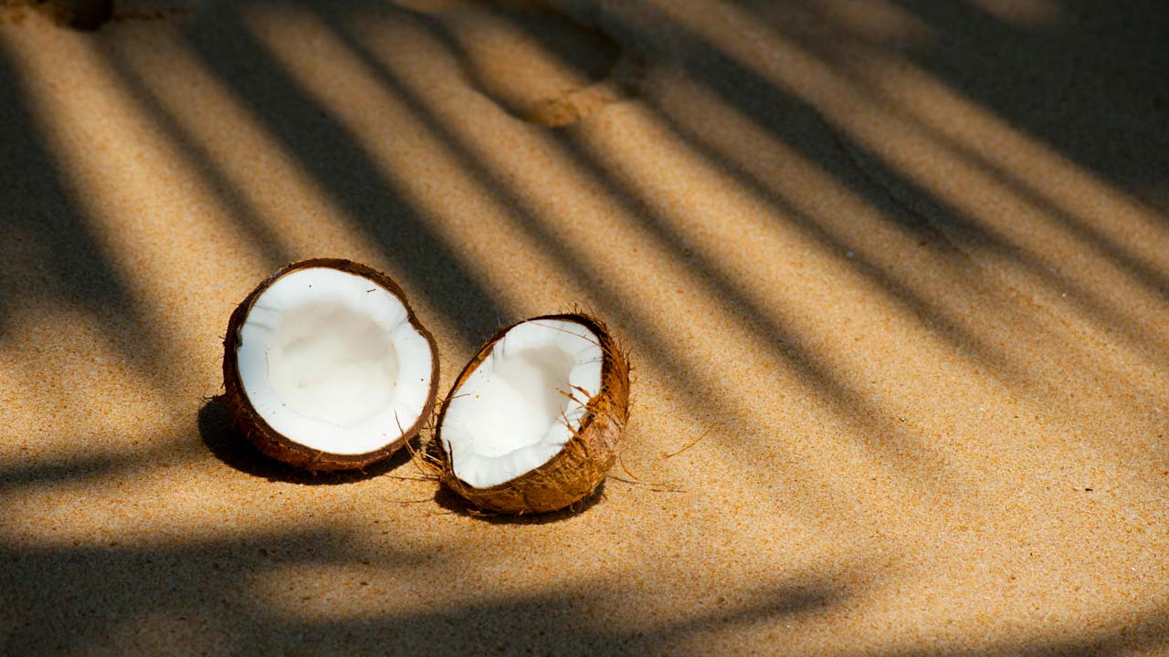 broken coconut