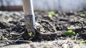 The Trick of the Forks in the Garden, That’s What It’s For