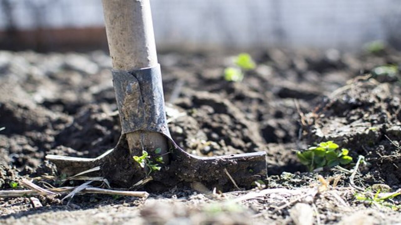 mulching the ground