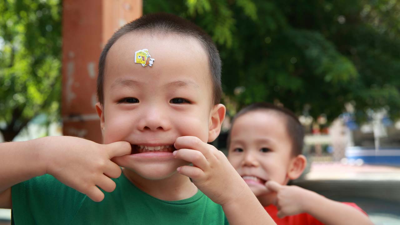 baby teeth host stem cells with the potential to combat diseases like Alzheimer's, Parkinson's