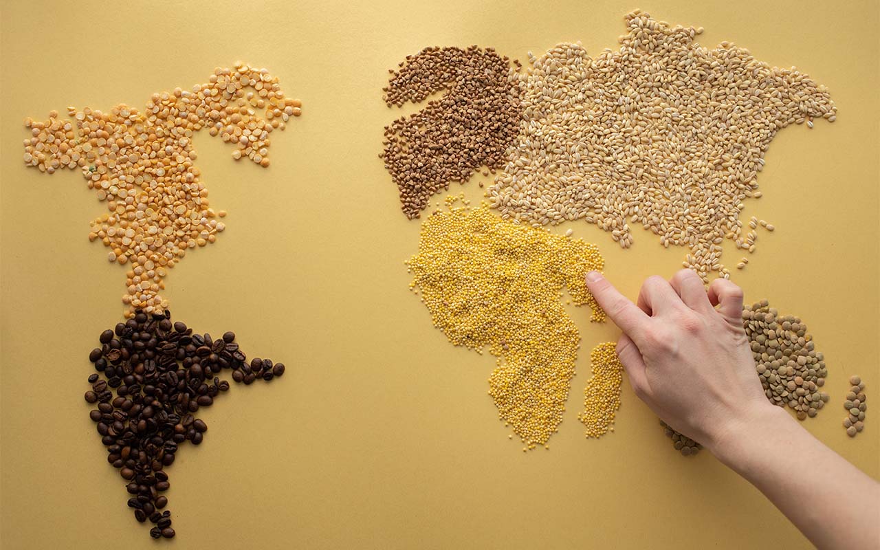 World map made by legumes