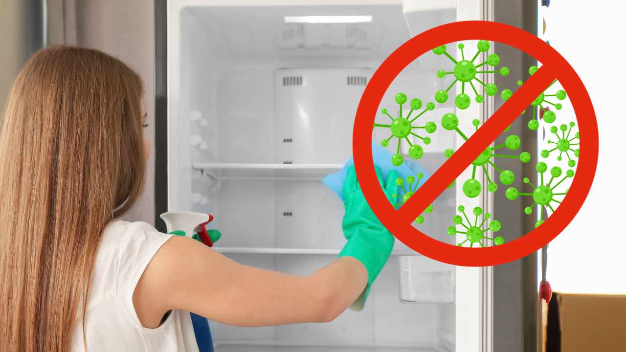 How to eliminate mold in the refrigerator with simple steps