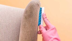 Effectively Dry Clean Your Sofa Using Simple Ingredients