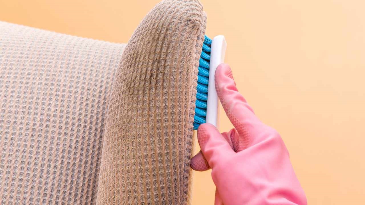 If you want to dry clean your sofa quickly, here are the ingredients you will need to use