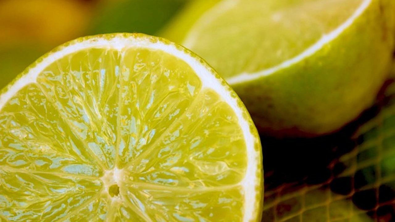 a sliced lemon placed on the table