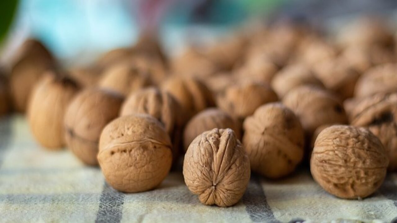 some walnuts are placed on the table