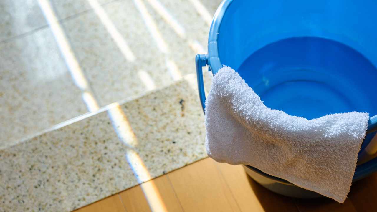 prepared solution in the bucket to clean the floors